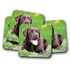 4 Set - Chocolate Labrador
