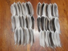 40 DRAKE MALLARD DUCK TAILS