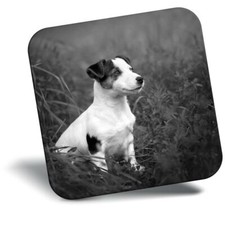Awesome Fridge Magnet bw - Jack Russell Terrier Dog Puppy  #37846