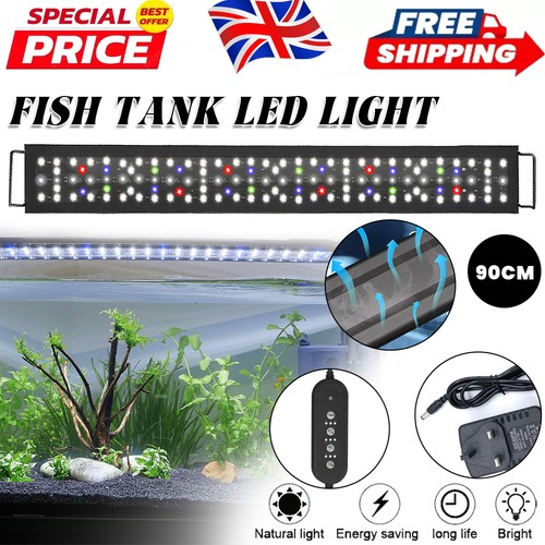 New aquarium fish tank - fish,