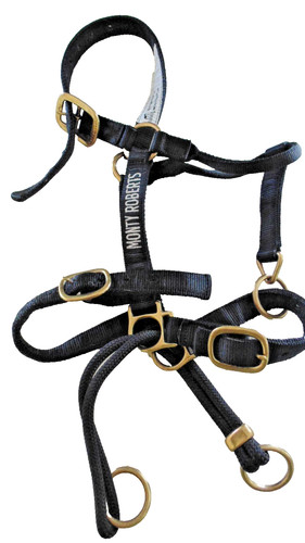 Dually training halter black - training,