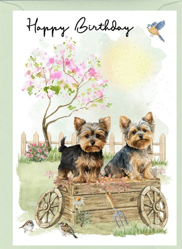 Yorkshire terrier yorkie a6 - yorkshire, /