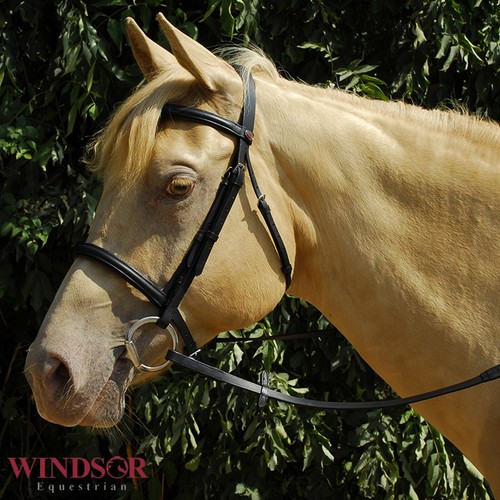 Leather bridle with cavesson - bridle,