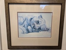 Framed print of tiger in the