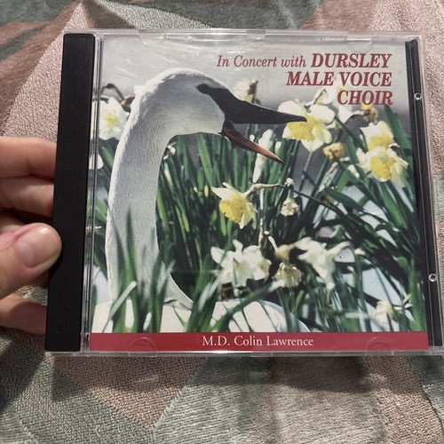 Dursley male voice - male,