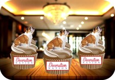 British Bulldog Puppy - 12 PREMIUM STAND UP Edible Cake Toppers Animal Pet Cute