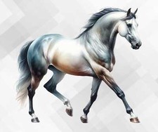 Watercolour Horse Bedroom Wall