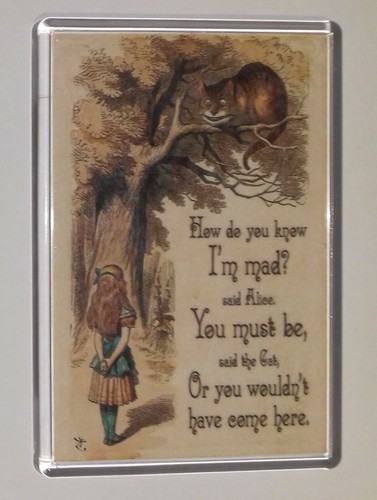 Fridge magnet how do - fridge,