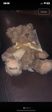 Teddy from rhyl - teddy,