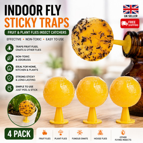Pack indoor fly sticky traps - 4,