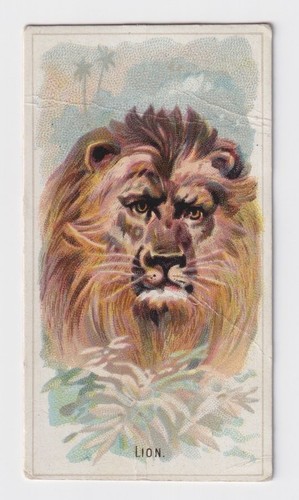Cigarette card n25 - card,