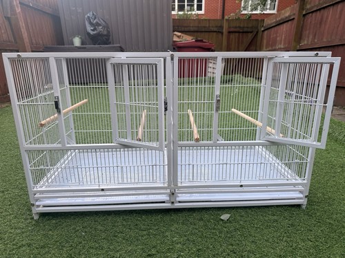 Bird cage - bird,