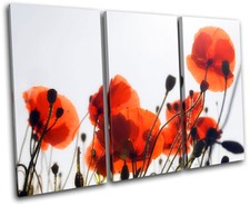 Poppy Field Flowers Floral