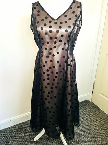 Debenhams black polka - debenhams,