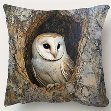 STUNNING BARN OWL CUSHION