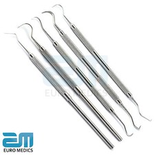 Dental Hygienist dentist