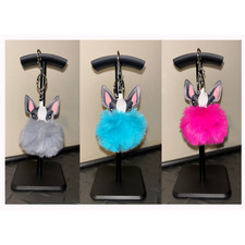 Super Cute French Bull dog