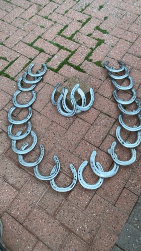 Used lucky horse shoes - used,