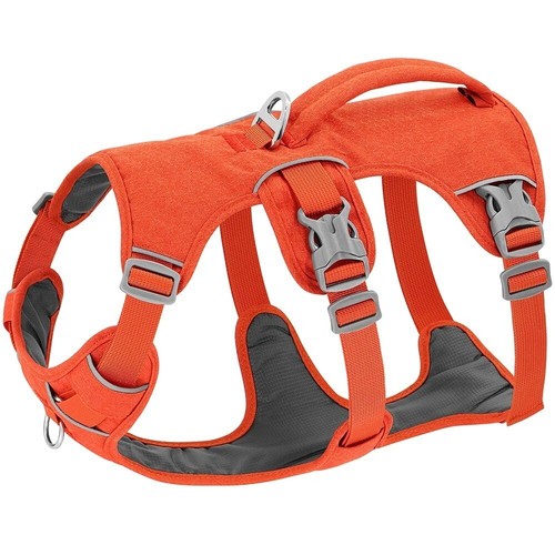 Escape proof nylon dog - escape,