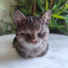 Vivid Arts Dreaming Cat Grey