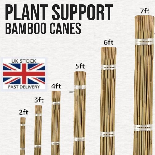 7 ft bamboo - 3,