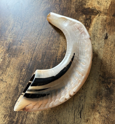 Natural ram horn shofar - natural,