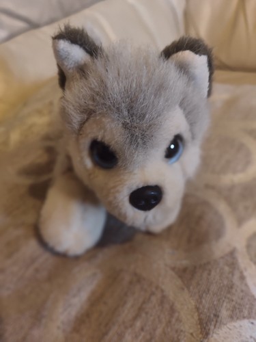 Cute keel cuddle puppies - cute,