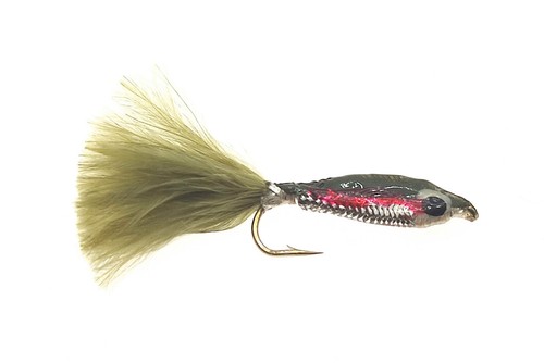 Epoxy minnow rainbow - epoxy,