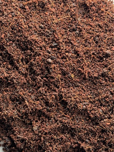 Terrarium soil mix - terrarium,