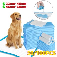 50/100 Large Puppy Training