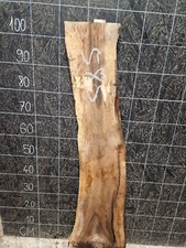 ENGLISH WALNUT SLAB LIVE EDGE