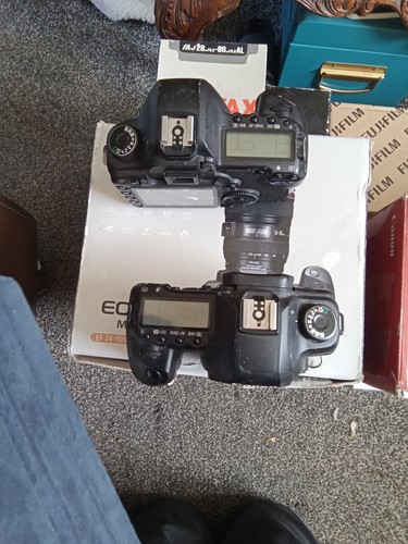 Canon mk2 9 months - ,