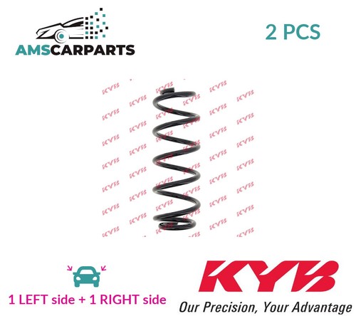 Coil spring pair set rear - coil,