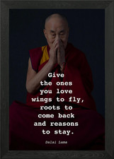 Dalai Lama Quote P1D005 Framed