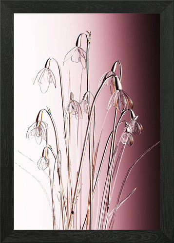 Glass snowdrops framed wall - glass,