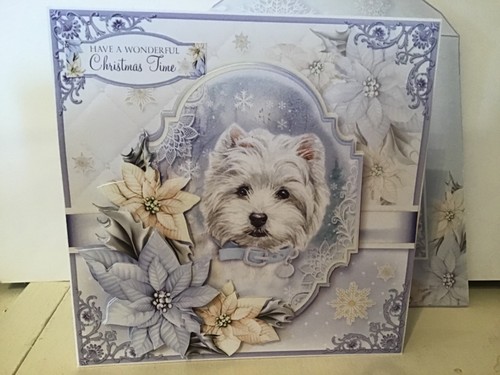 Christmas dog and poinsettia - and,