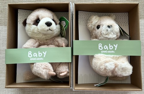 Baby lion cub - baby,