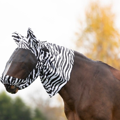 Equestrian stormx original - hy,
