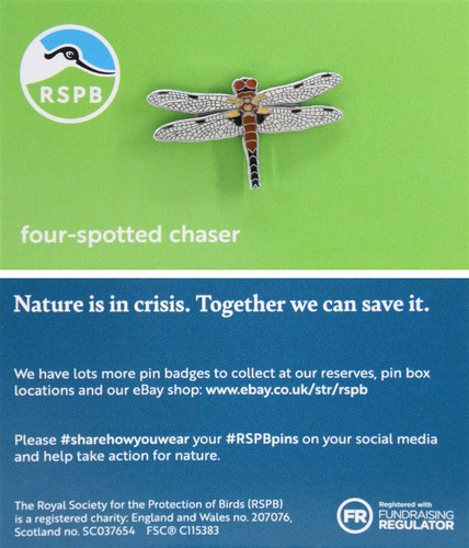 Rspb pin badge - pin, niic