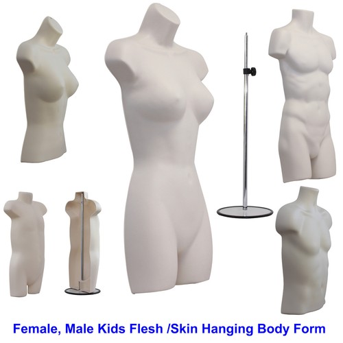 Body form torso female - body, male