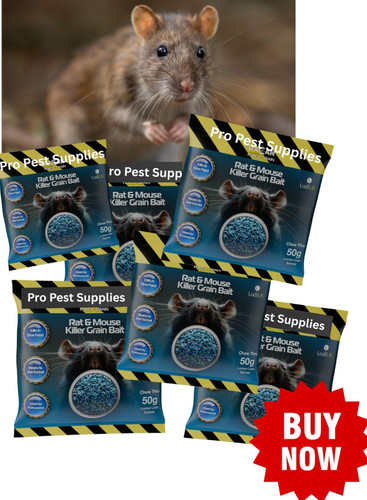 Rat poison kills rats fast - ,