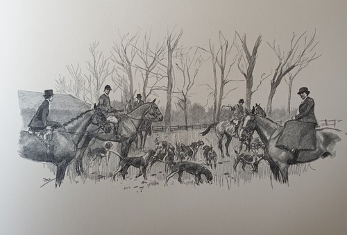 Belvoir hunt stewart - hunt, a