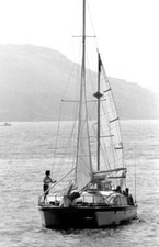 Anneliese The Swayle Family