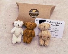 Little Pocket Bear Hug Cute