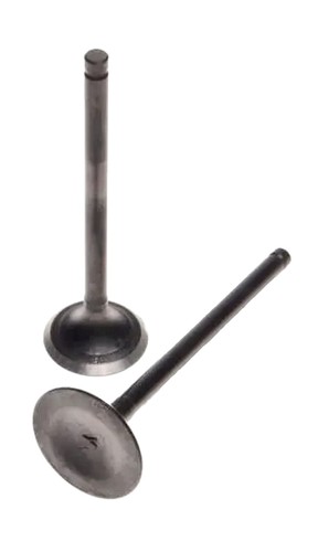 Suzuki gn125 exhaust valve cpl - valve,