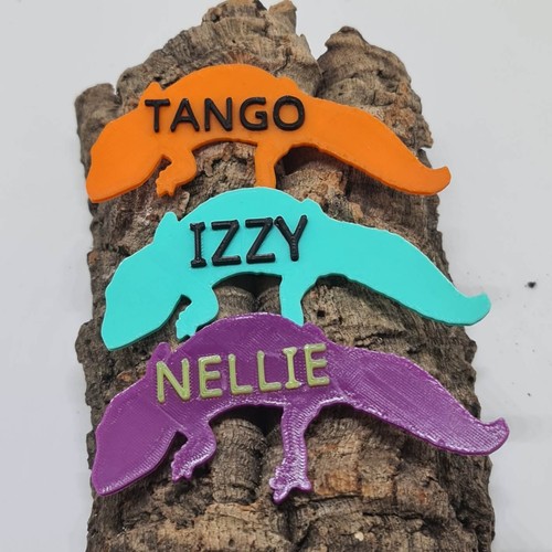 Personalised leopard gecko - personalised,