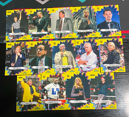 Choose your card - card, wwe