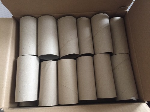 50x empty toilet paper rolls - 50x,