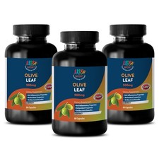 Olive Leaf 500 mg - OLIVE LEAF