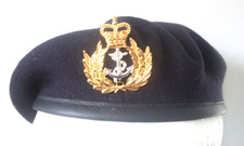 Royal navy warrant officer - royal,